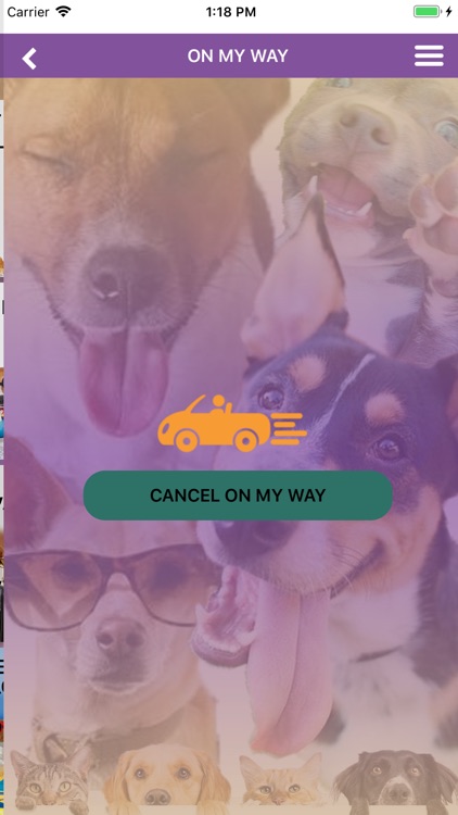 Sydney's Pet Resort and Spa screenshot-9