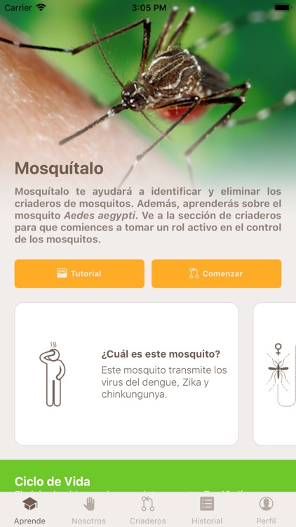 Mosquítalo screenshot-6