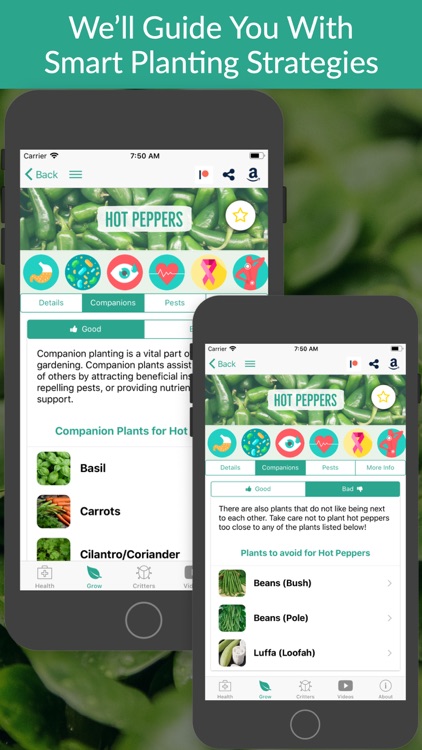 From Seed to Spoon Gardening screenshot-3