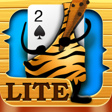 Activities of Video Poker Lite