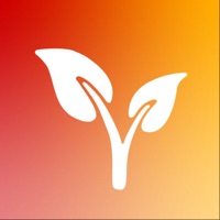 YouFeel pour PC