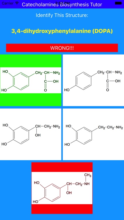 Catecholamines Synthesis Tutor