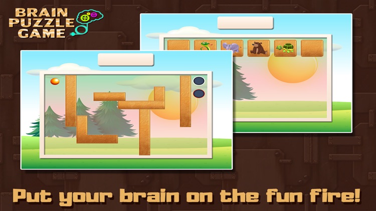 Brain Puzzles Game Pro