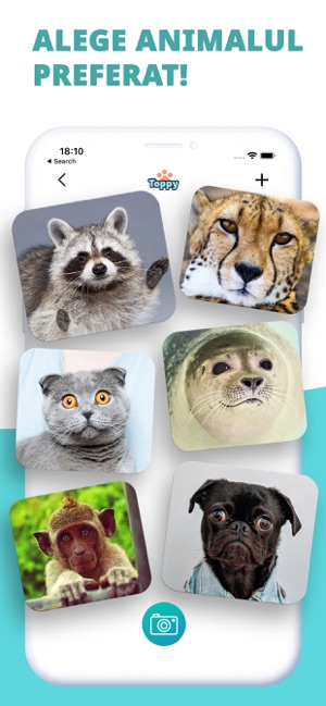 Toppy Animale Vorbitoare In App Store