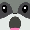 Raccoon Emojis
