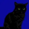 The Night Cat App Feedback