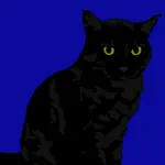 The Night Cat App Support