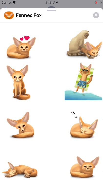 Fennec Fox screenshot-3