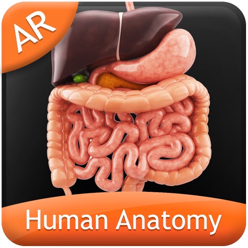 Human Anatomy - Digestive icon
