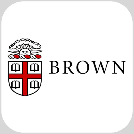 Brown University Experience Читы