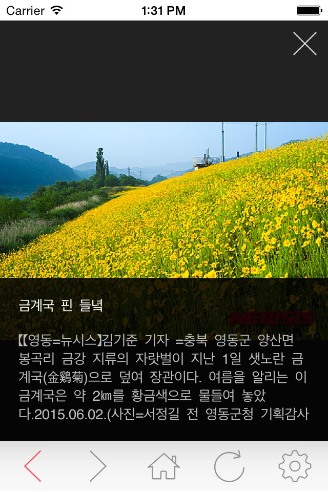 뉴시스 screenshot 4