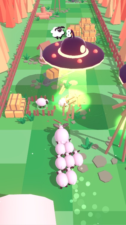 Sheep Stampede