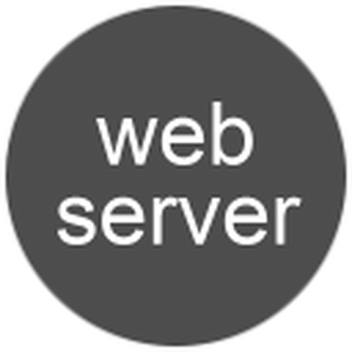Mini Web Server on WiFi Icon