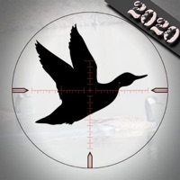 Duck Hunting Calls - sur PC