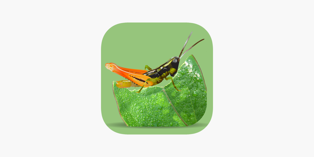 Grasshoppers Of The Western Us をapp Storeで