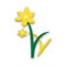 Daffodils World School promotes active participation of parents by involving them in their ward's education