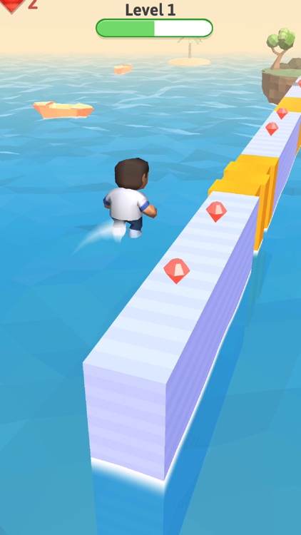 Bridge Connect Run