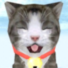 Activities of Cat Simulator - adopt kittens