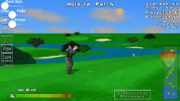 gl golf deluxe problems & solutions and troubleshooting guide - 2