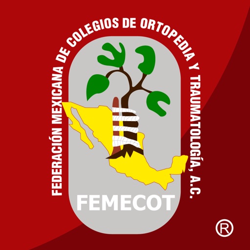 FEMECOT 2019