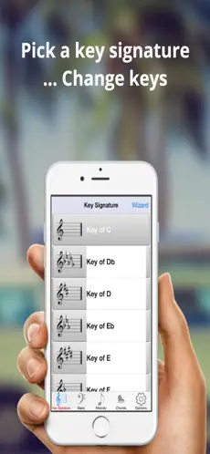 Imágen 4 Piano Armonía MIDI Studio Pro iphone
