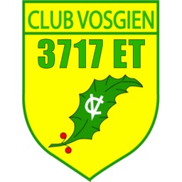 3717 Vosges Top3D