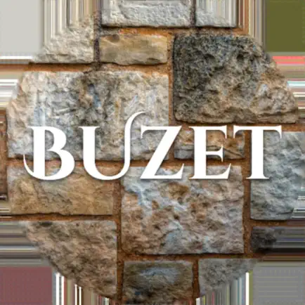 Buzet in your hand Читы