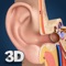 My Ear Anatomy app for studying human Ear Anatomy which allows you to rotate 360° , Zoom and move camera around a highly realistic 3D model