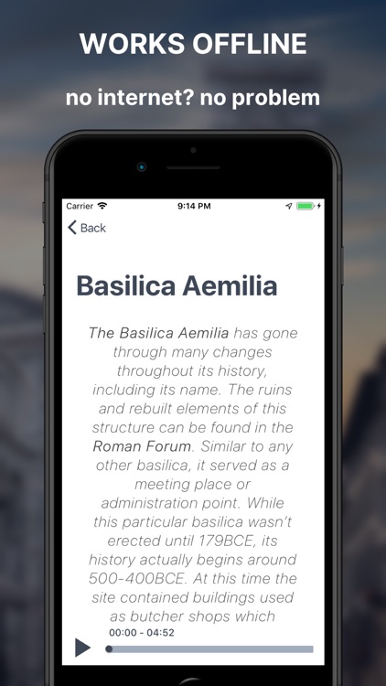 Roman forum & Palatine Guide screenshot-6