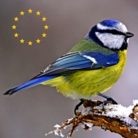 Oiseaux d'Europe - Guide pour PC
