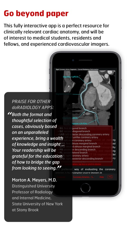 Radiology - Clinical Anatomy