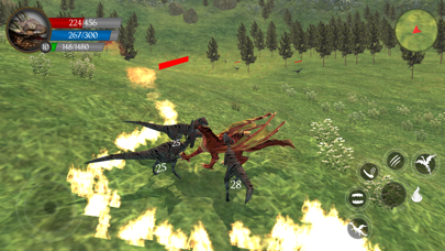 Flying Dragon's Life Simulator screenshot 4