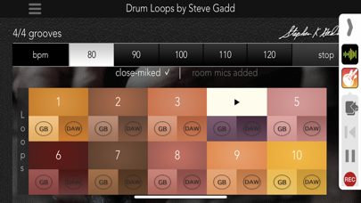Drum Loops by Steve Gadd screenshot1