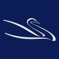 Cisne Branco