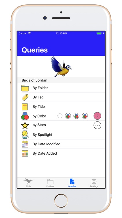 Birds of Jordan H screenshot-8