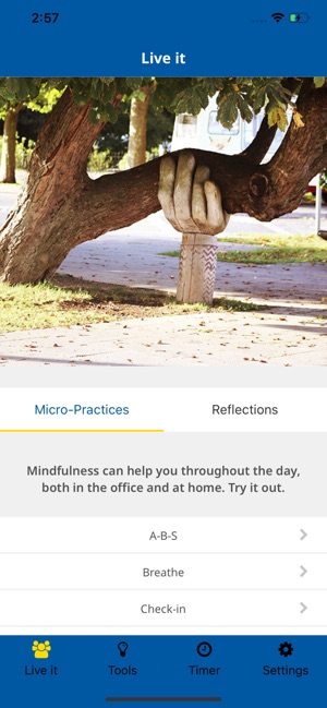 Mindfulness & Wellbeing(圖2)-速報App