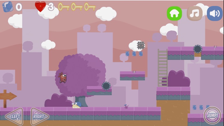 朋友聚森林冒险