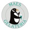 Maes Gelateria is an home made Italian Ice Cream shop