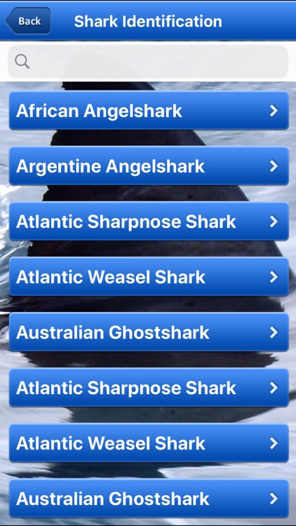 Shark Bytes screenshot-6