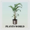 Plants World!