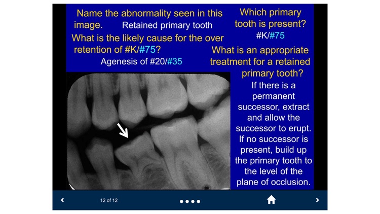 Oral Radiology - SecondLook screenshot-3