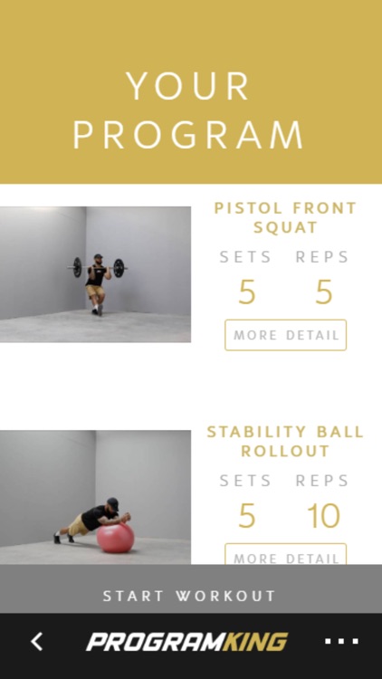 Program King screenshot-4