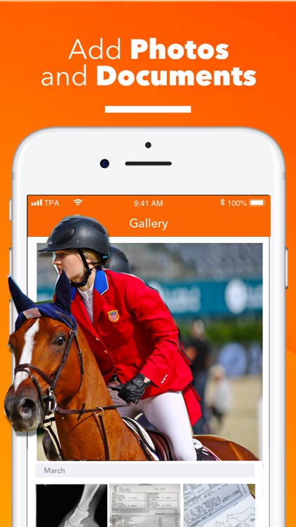 The PonyApp