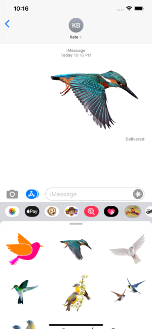 Amazing Birds Gallery(圖2)-速報App