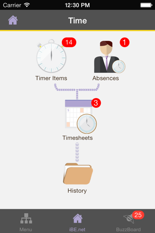 iBE : Time and Expense Tracker screenshot 4