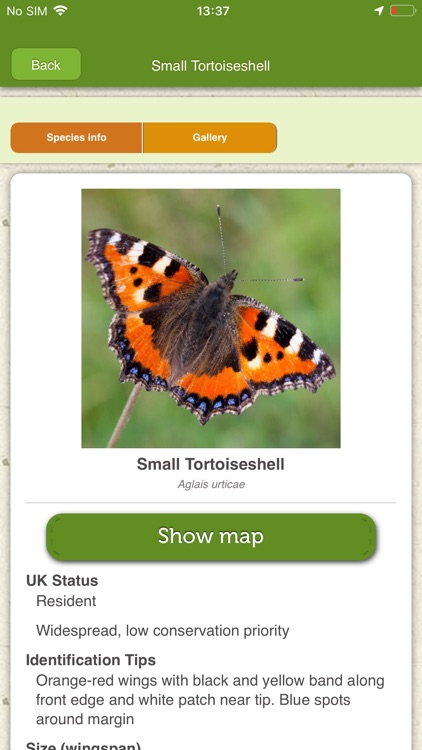iRecord Butterflies