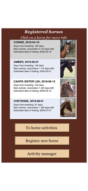 My Mare App(圖1)-速報App