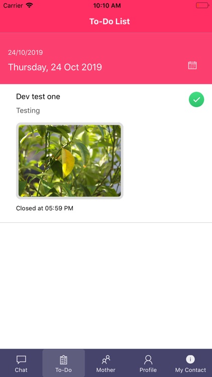 My Sakhi - Moments of Magic