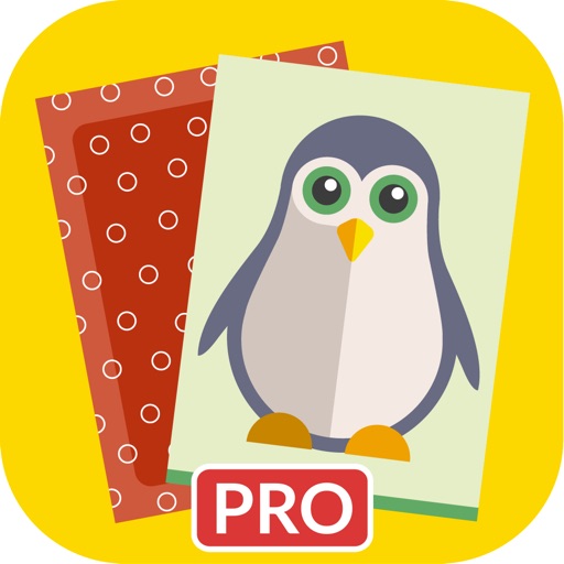 Memory ABC PRO