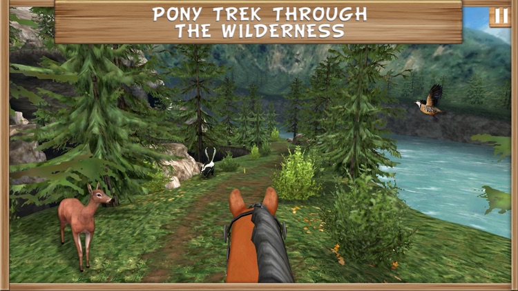 Pony Trails screenshot-4